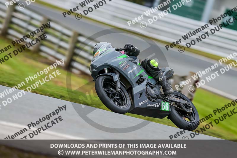 Oulton Park 14th March 2020;PJ Motorsport Photography 2020;anglesey;brands hatch;cadwell park;croft;donington park;enduro digital images;event digital images;eventdigitalimages;mallory;no limits;oulton park;peter wileman photography;racing digital images;silverstone;snetterton;trackday digital images;trackday photos;vmcc banbury run;welsh 2 day enduro